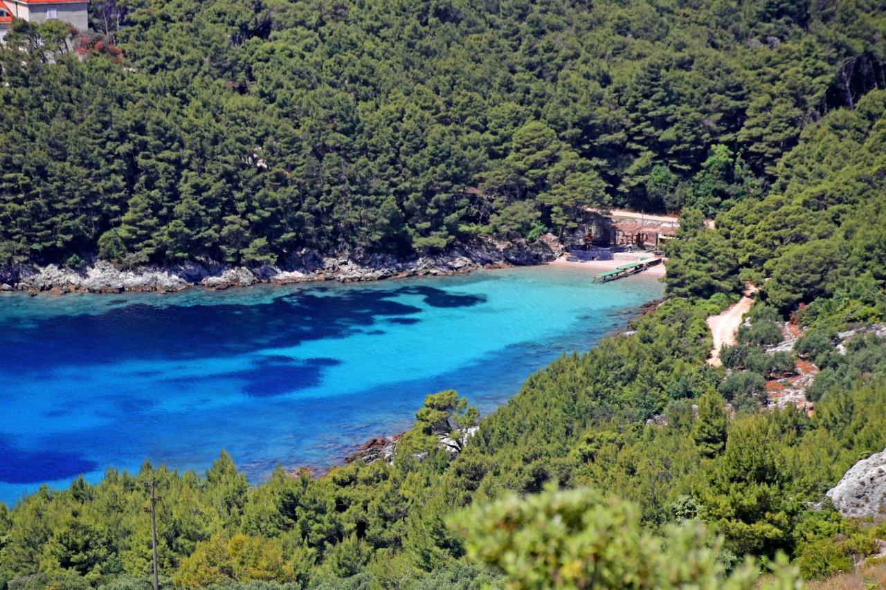 Apartments By The Sea Luka Dubrava, Peljesac - 14040 Putniković Exterior foto